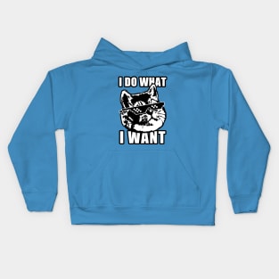 I Do What I Want Funny Cat Meme Deal with It Kids Hoodie